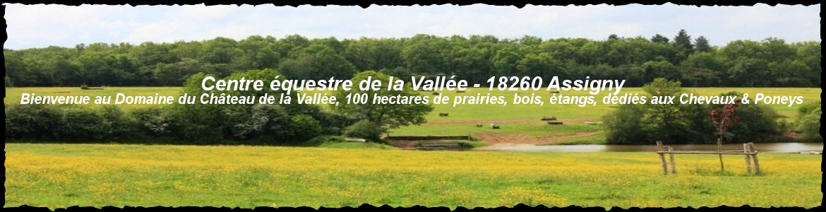 Centre équestre de la Vallée - 18260 Assigny
